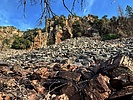 photo thumbnail #8
