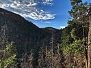 photo thumbnail #12