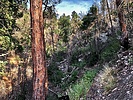 photo thumbnail #13