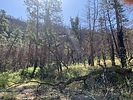 photo thumbnail #9