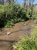 photo thumbnail #10