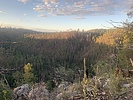 recent photo