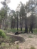 photo thumbnail #7