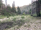 photo thumbnail #12