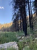 photo thumbnail #14