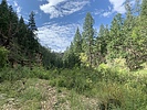 recent photo