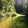 photo thumbnail #12