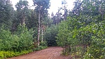 photo thumbnail #3