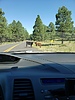 photo thumbnail #9