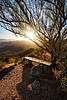 photo thumbnail #13