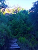 photo thumbnail #11