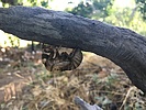 photo thumbnail #13