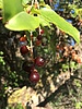 photo thumbnail #14