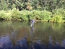 photo thumbnail #2