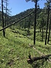 photo thumbnail #11