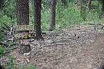 photo thumbnail #8