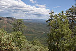 photo thumbnail #11