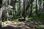 photo thumbnail #13