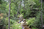 photo thumbnail #11