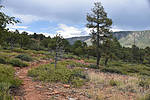 photo thumbnail #13