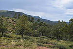 photo thumbnail #14