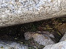 photo thumbnail #10
