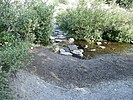 photo thumbnail #6