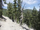 photo thumbnail #3