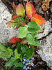 Featured Detail Photo