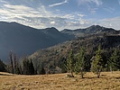 photo thumbnail #5