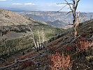 photo thumbnail #8