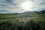 photo thumbnail #1
