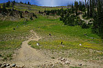 photo thumbnail #2
