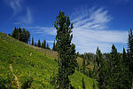 photo thumbnail #7
