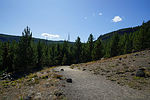 photo thumbnail #2