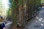 photo thumbnail #4