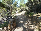 photo thumbnail #5