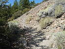 photo thumbnail #6