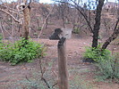 photo thumbnail #9