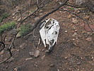 photo thumbnail #15