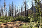 photo thumbnail #2