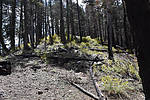 photo thumbnail #5