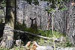 photo thumbnail #2