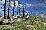 photo thumbnail #5