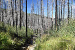 photo thumbnail #12