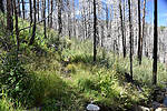 photo thumbnail #13