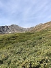 photo thumbnail #15