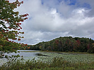 photo thumbnail #7