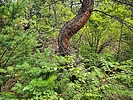 photo thumbnail #10