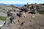 photo thumbnail #13